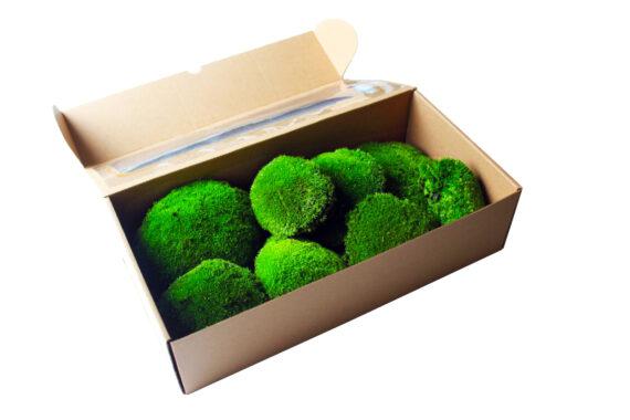 Polemoss 1kg Paket